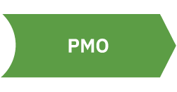 Apex Website AtoBTimeline Pieces PMO