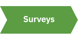 Apex Website AtoBTimeline Pieces Surveys