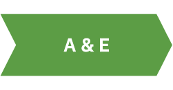 Apex Website AtoBTimeline Pieces A&E