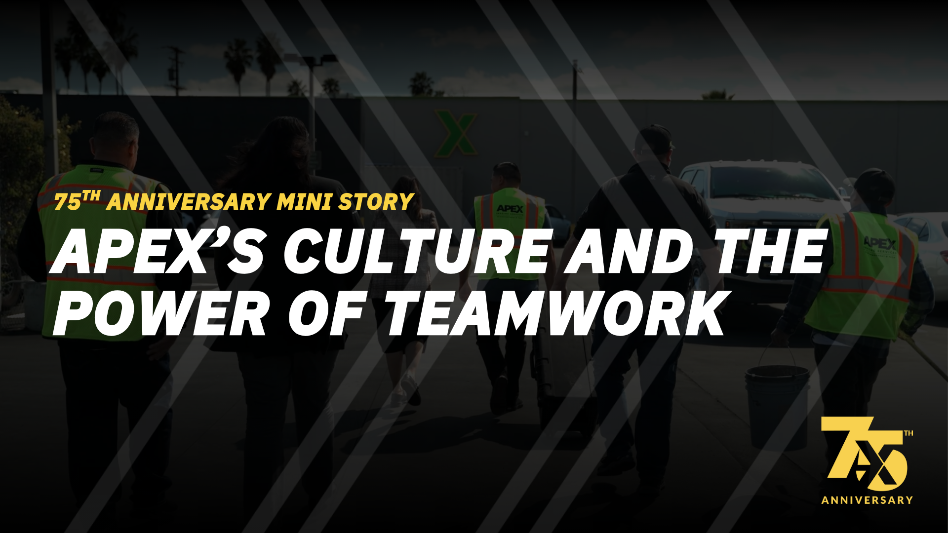 Apex Culture